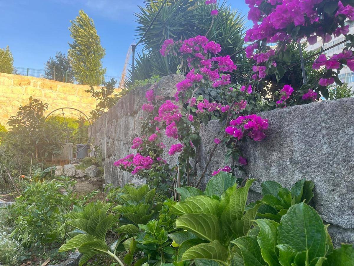 Hidden Gem near city center- garden, outdoor kitchen, sauna in Πόρτο, Porto District