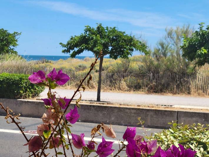 Gîte pour 4 personnes, animaux acceptés à Portiragnes - 4