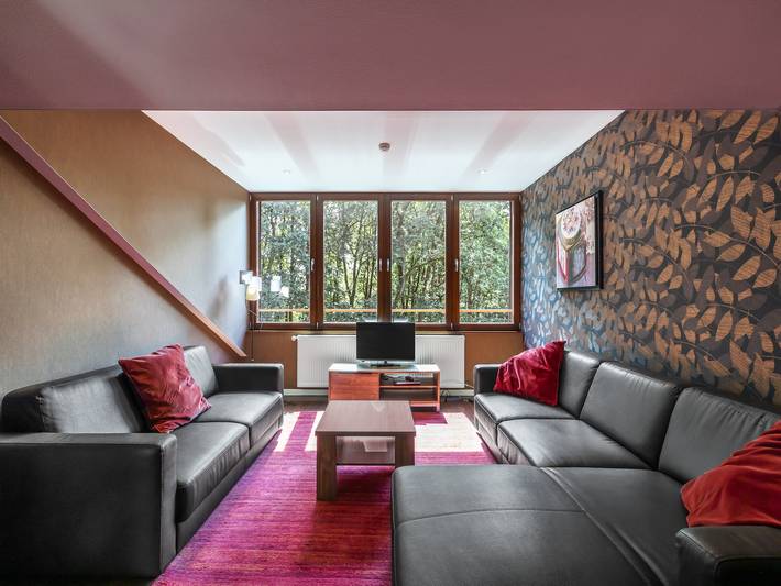 Location de vacances pour 20 personnes, avec sauna ainsi que terrasse et piscine, animaux acceptés à Malmedy - 4