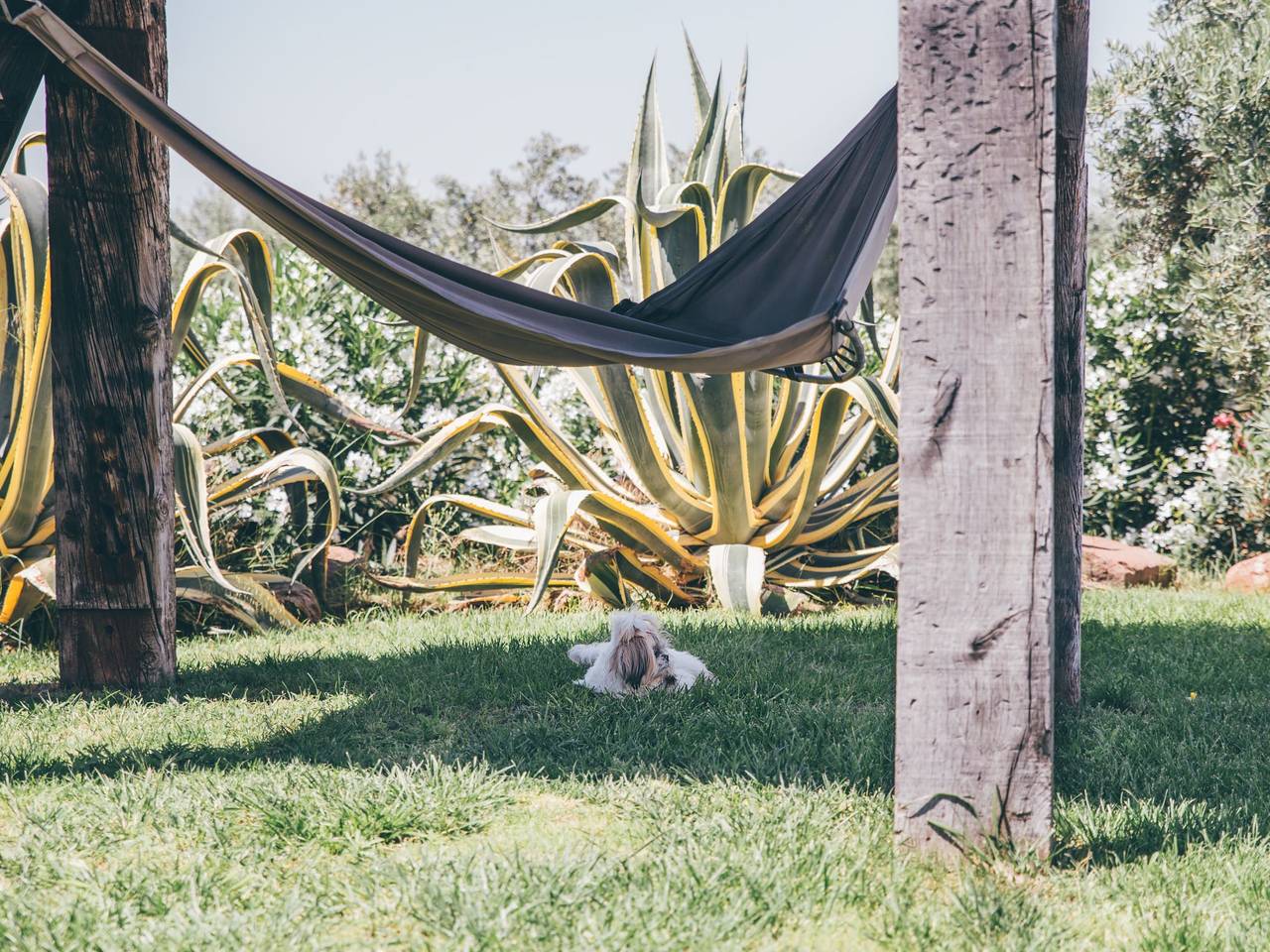 Finca con encanto in Montoro , Provincia de Córdoba