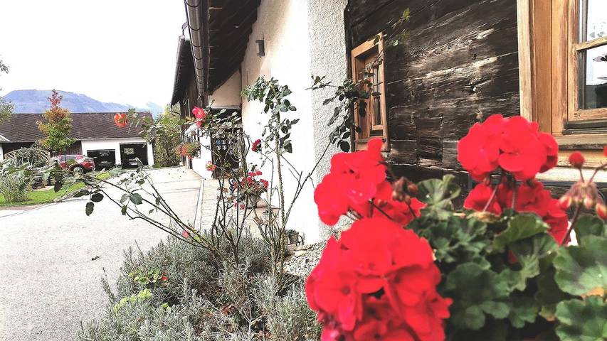Ferienhaus für 6 Personen, mit Terrasse, mit Haustier in der Oststeiermark - 2