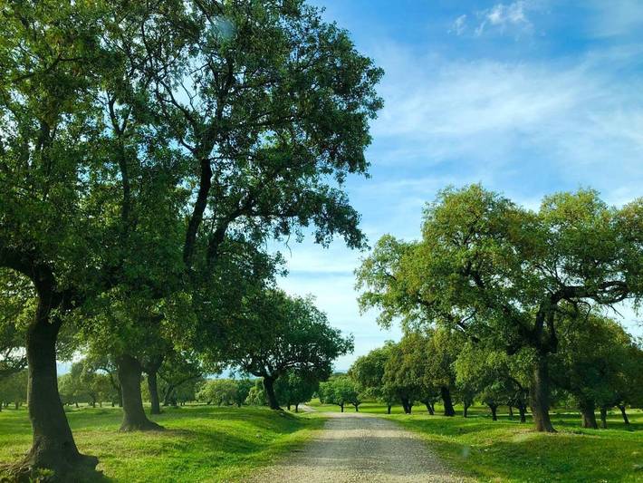 Albergue para 3 personas, con jardín y vistas en Extremadura - 2