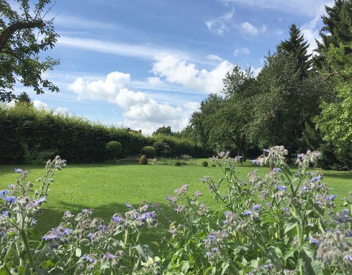Hôtel pour 2 personnes, avec jardin et terrasse à Donaueschingen - 3