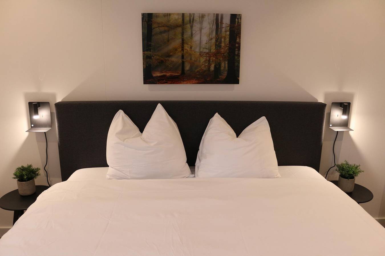 Vakantiepark Breebronne — Wald Cube | 8 Personen in Maasbree, Limburg (Niederlande)