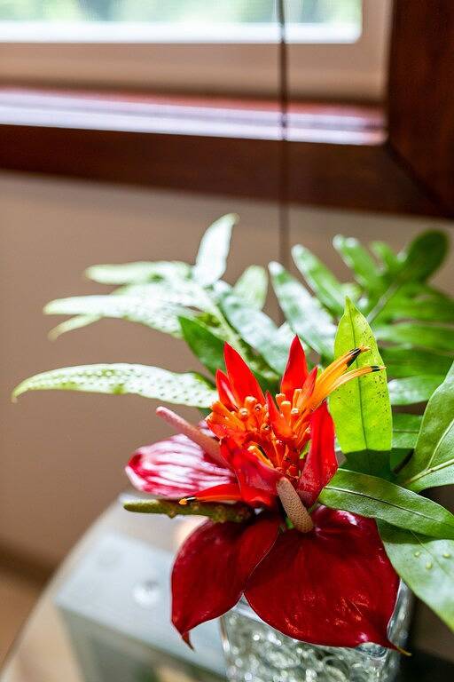 Garden View Room - Oceanfront Hilo Beach House Inn in Keaukaha, Hilo