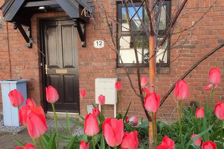 Vakantiehuis voor 4 personen, met tuin in Dublin