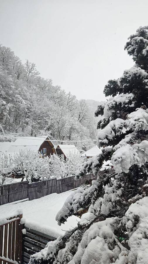 Location de vacances pour 12 personnes, avec vue ainsi que jardin et terrasse dans Cluj-Napoca - 3