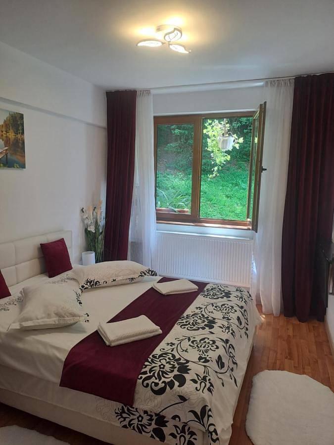 Gîte pour 2 personnes, avec terrasse et vue, animaux acceptés à Sinaia