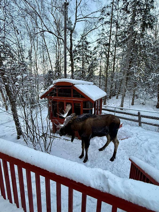 Location de vacances pour 14 personnes, avec jardin et vue à Anchorage - 4