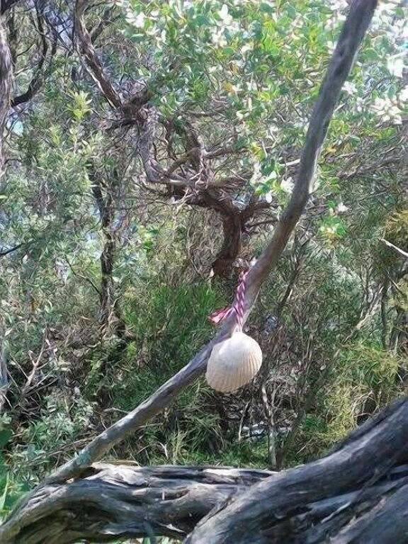 Lavendel Cottage Venus Bucht in Venus Bay, Shire of South Gippsland