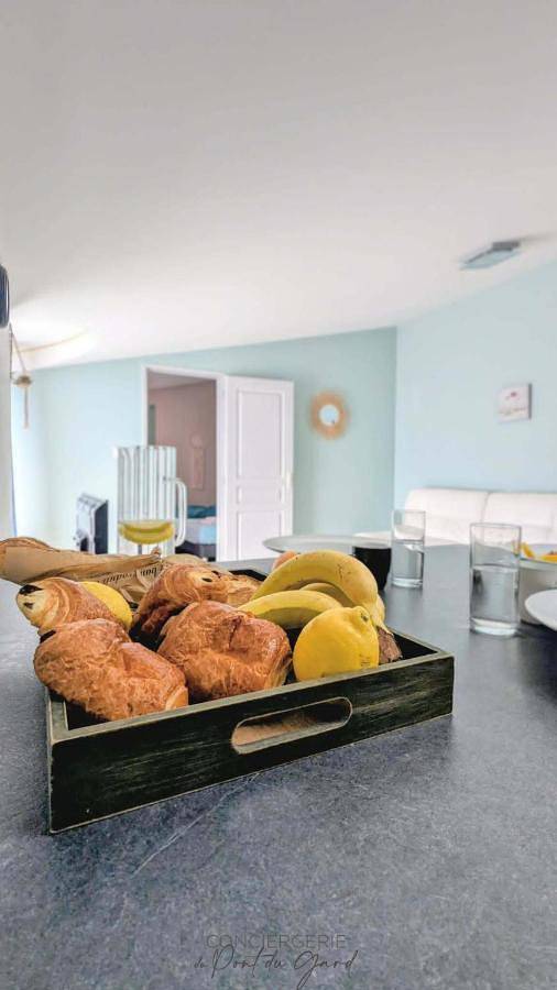 Ganze Wohnung, Appart Pacificae in Remoulins, Nimes und Umgebung