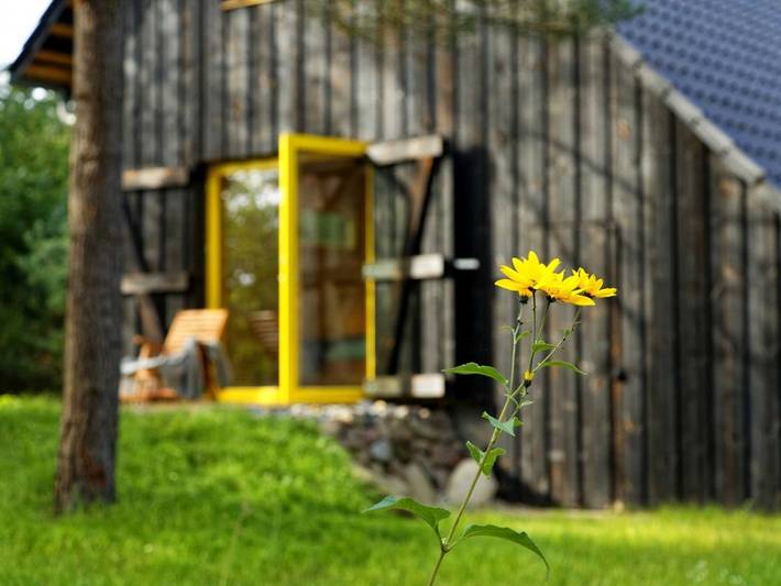 Bungalow für 4 Personen, mit Terrasse und Garten in Loddin - 2