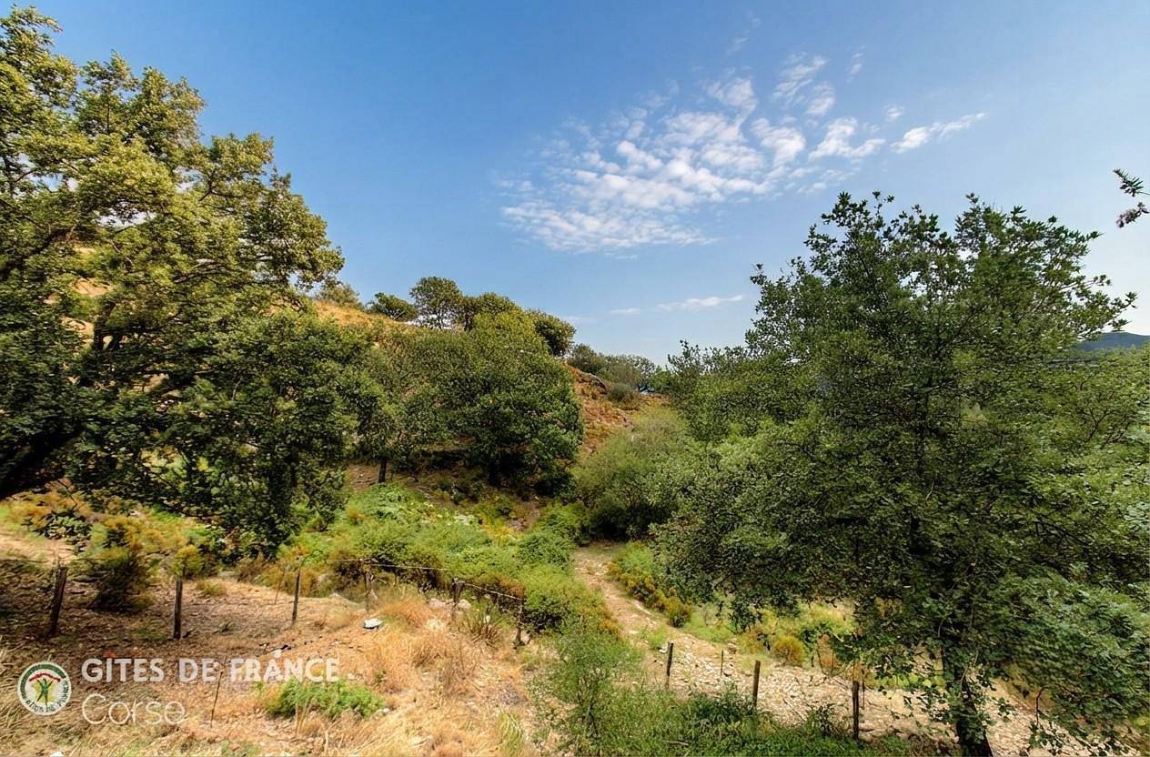 Campo Sotano in Venaco, Parc naturel régional de Corse