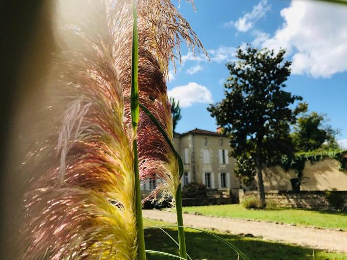 Location de vacances pour 2 personnes, avec Terrasse et Jardin ainsi que Bassin pour enfant et Piscine à Sainte-Bazeille - 4