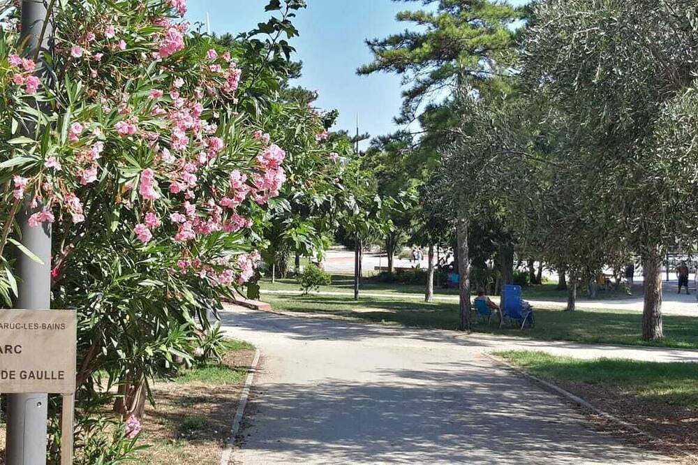 Ganze Wohnung, Studio Balaruc Les Bains Proche Cure Et Plage in Balaruc-les-Bains, Côte d'Améthyste
