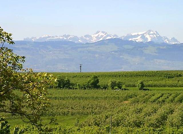 Ganze Ferienwohnung, Haus Stohr - Ferienwohnung Haus Stohr, 58 qm, 1 Schlafzimmer, max. 5 Personen in Wasserburg (Bodensee), Bayerisch Schwaben