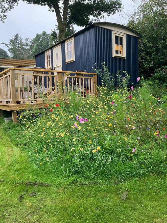 Annes hatch hut in Fernhurst, South Downs