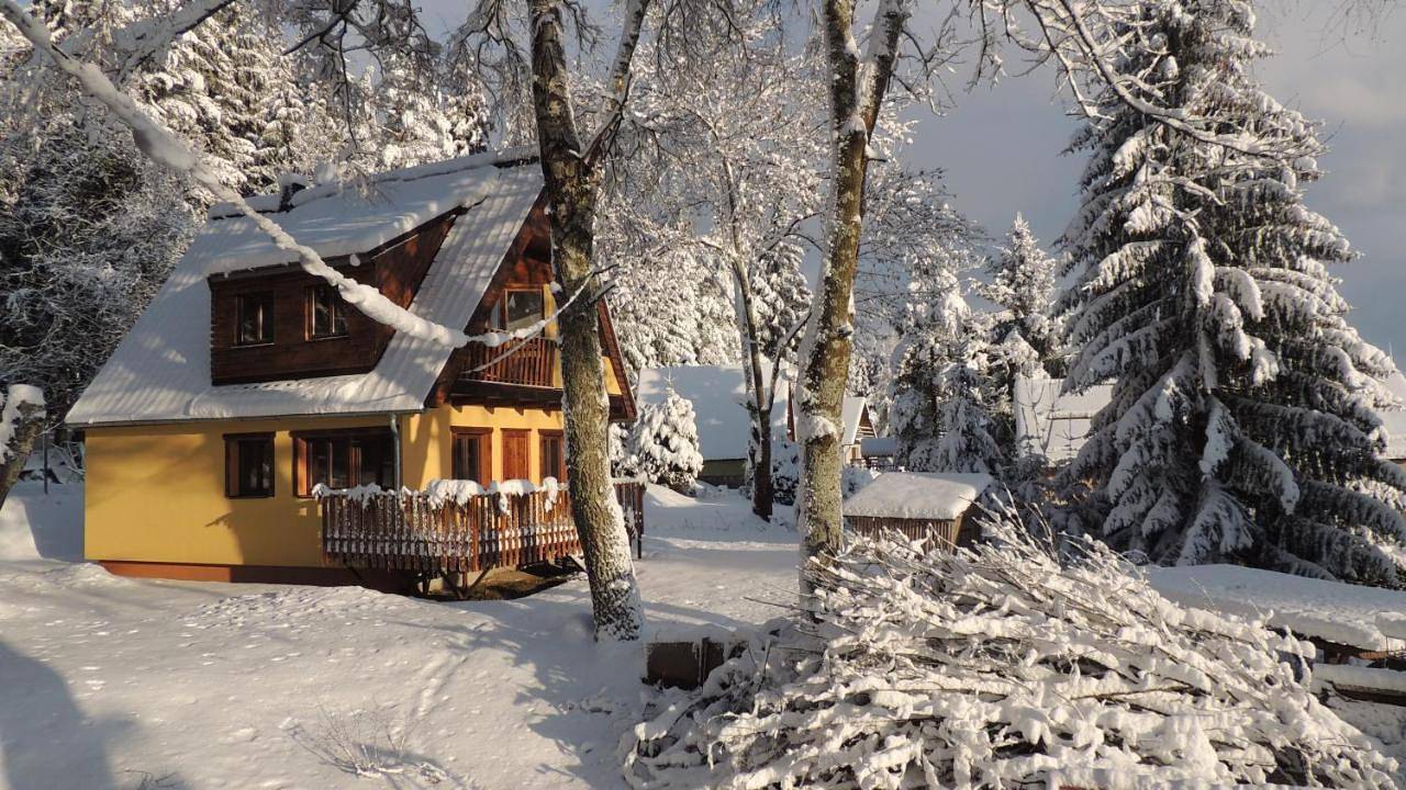 Apartment - Ground Floor in Lipno, Sumava Nationaal Park