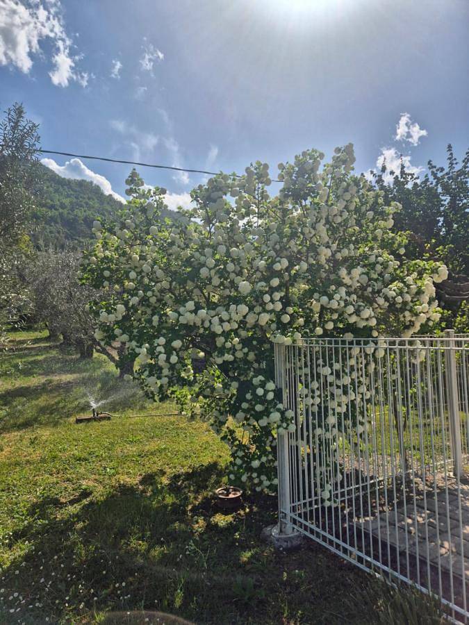 Gîte pour 4 personnes, avec piscine et terrasse à Entrevaux - 4