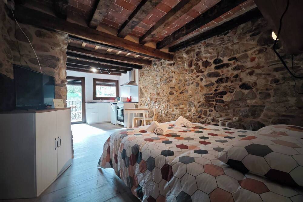 Appartement entier, Léra del Ter - Loft in Sant Pau de Segúries, Pyrénées catalanes