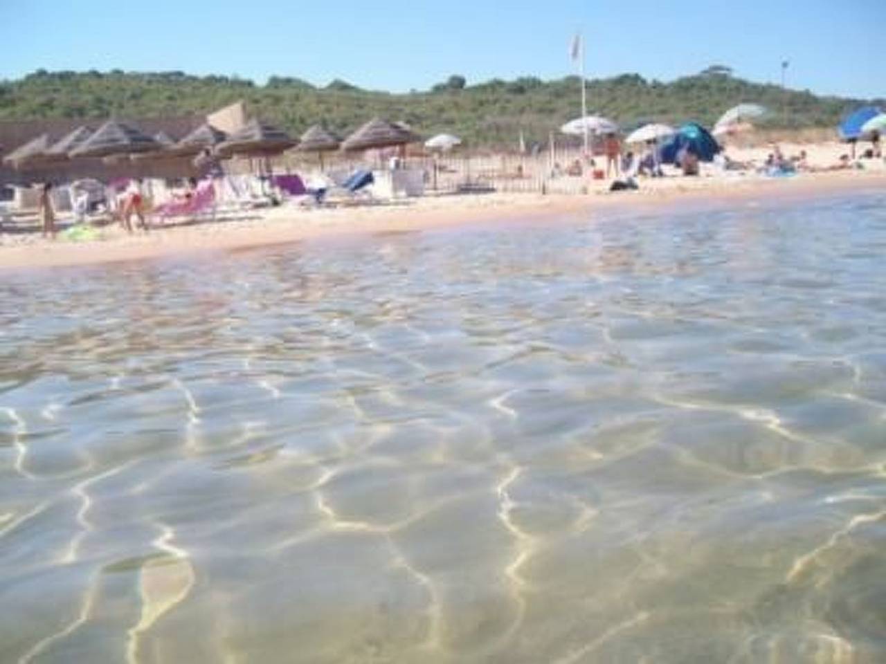 Appartement entier, Lila Wohnung mit Schwimmbad und Meerblick in Balestrate, Province de Palerme