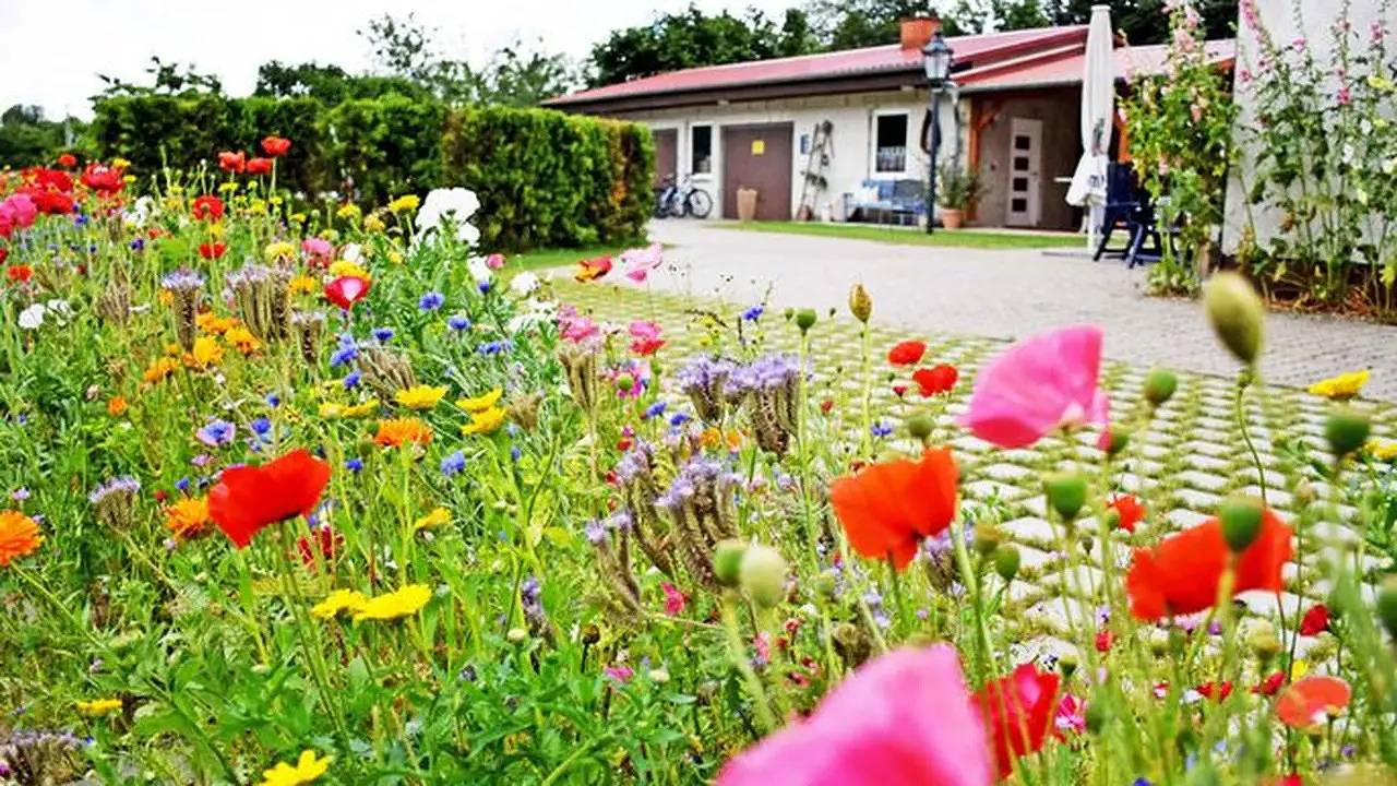 Appartement de vacances entier, Ferienwohnung für 5 Personen (70 m²) in Samtens in Samtens, Région de Rügen