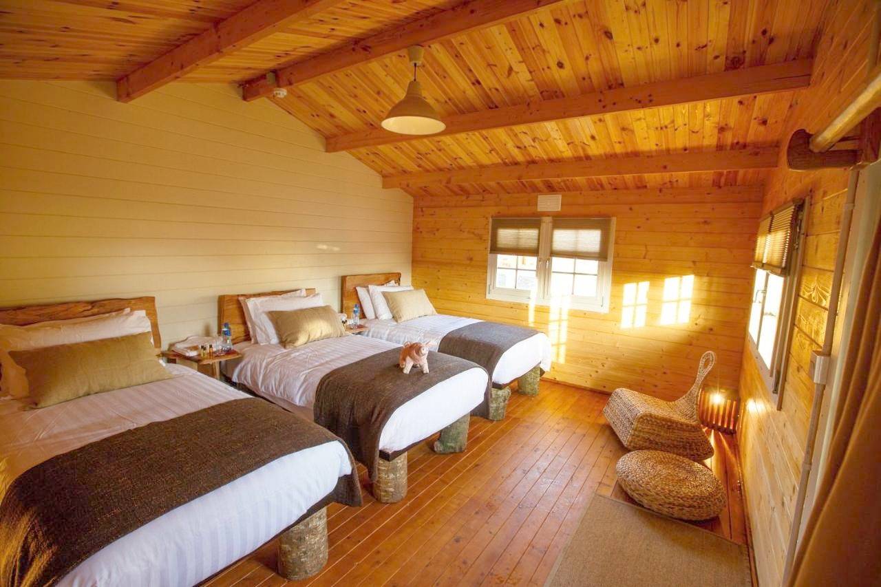 Log Cabin Glamping (2 Adults) in Birr, County Offaly