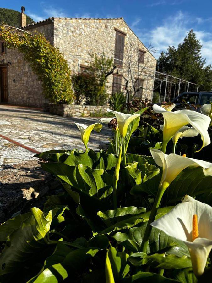 Alloggio in famiglia per 2 persone, con piscina e giardino, con animali domestici in Provincia di Palermo