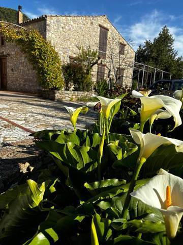 Cottage pour 2 personnes, avec jardin ainsi que terrasse et piscine, animaux acceptés à Polizzi Generosa