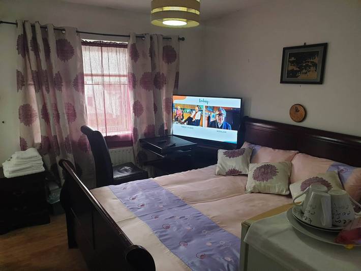 Schlafzimmer mit eigenem Bad, eigener Toilette und Dusche und unbegrenztem WLAN in South Dublin, County Dublin