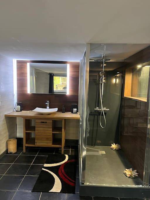 Chalet pour 13 personnes, avec jardin ainsi que jacuzzi et piscine, adapté aux familles dans Seine-et-Marne - 2