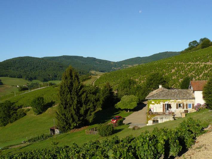 Chambre d’hôte pour 4 personnes, avec jardin dans Rhône - 2