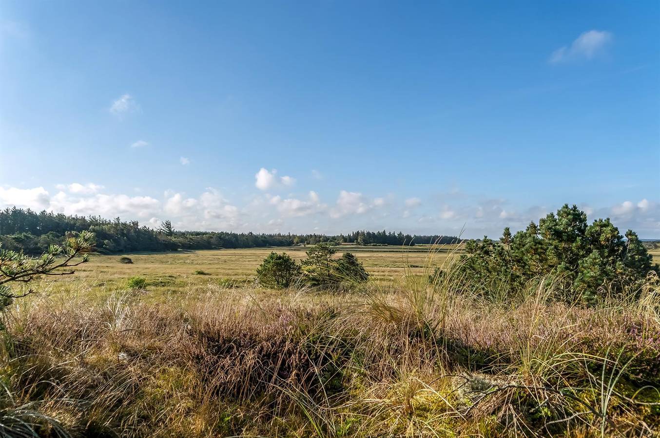 Home in Pandrup with Wifi in Rødhus, Jammerbugt