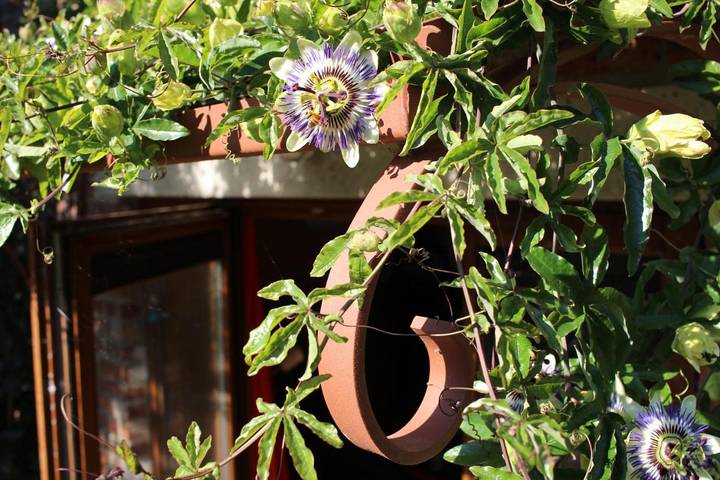 Location de vacances pour 4 personnes, avec vue et jardin à Jodoigne - 4