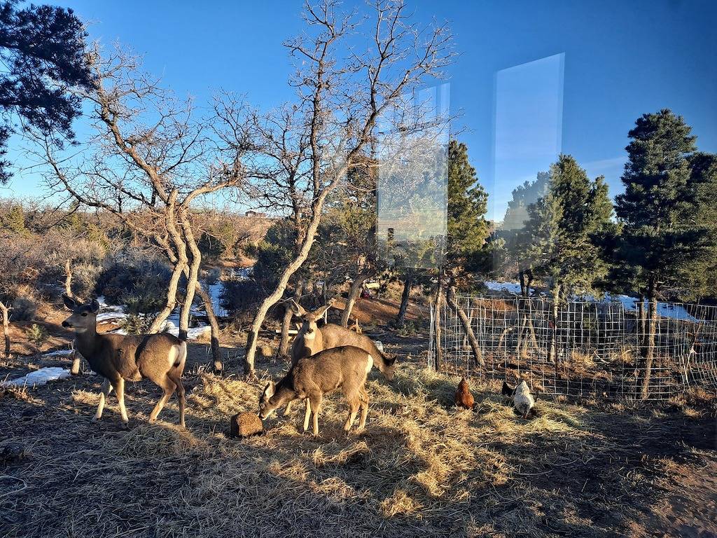 Colorado cabin featuring a Ev car charging station in San Juan National Forest