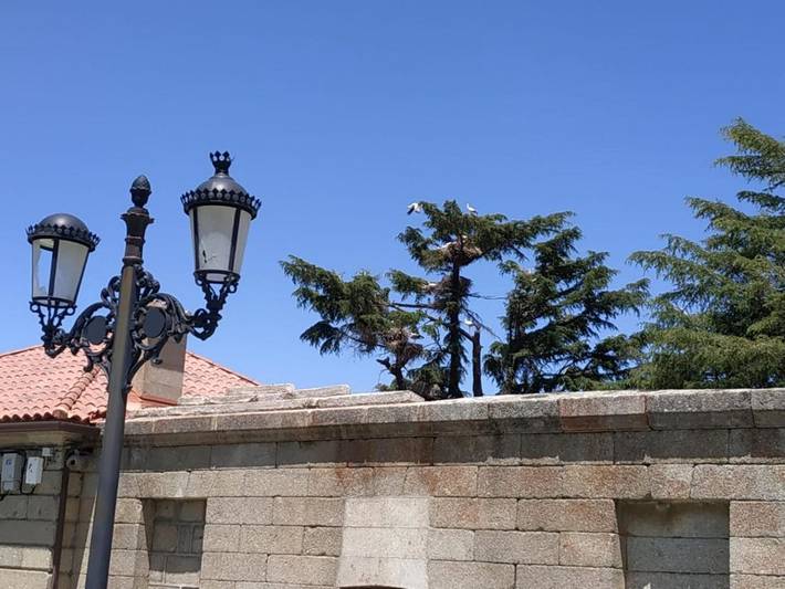 Casa rural para 5 personas en La Aldehuela - 2