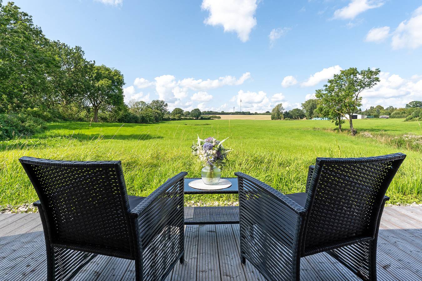 Ganze Ferienwohnung, Zur Wiese 17 Malve in Bosau, Ostholstein