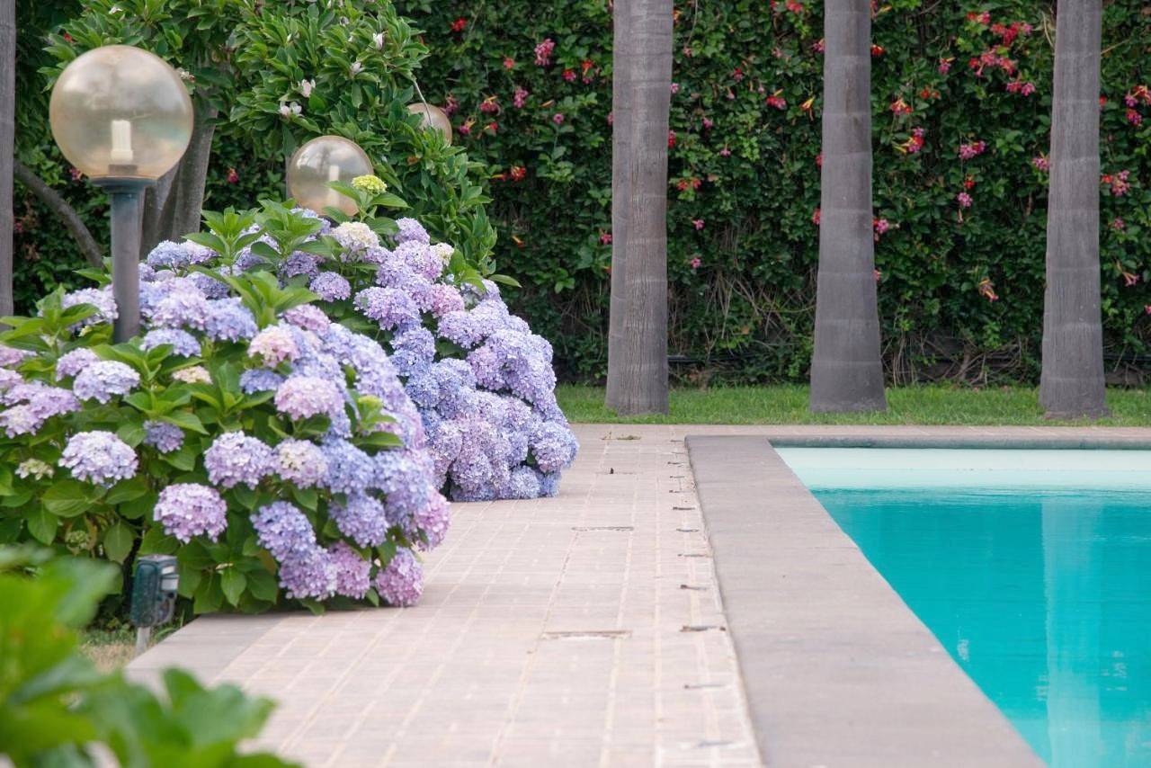 Luxury Quadruple Room in Trecastagni, Etna
