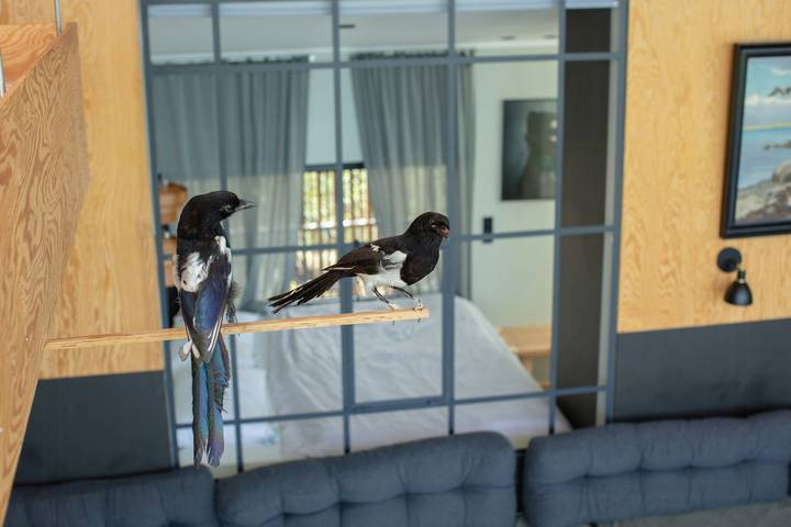 Ferienhaus für 4 Personen, mit Terrasse auf Seeland - 3