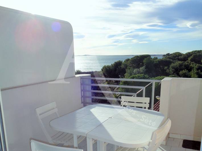 Gîte pour 4 personnes, avec terrasse dans Plage Lazaret - 2