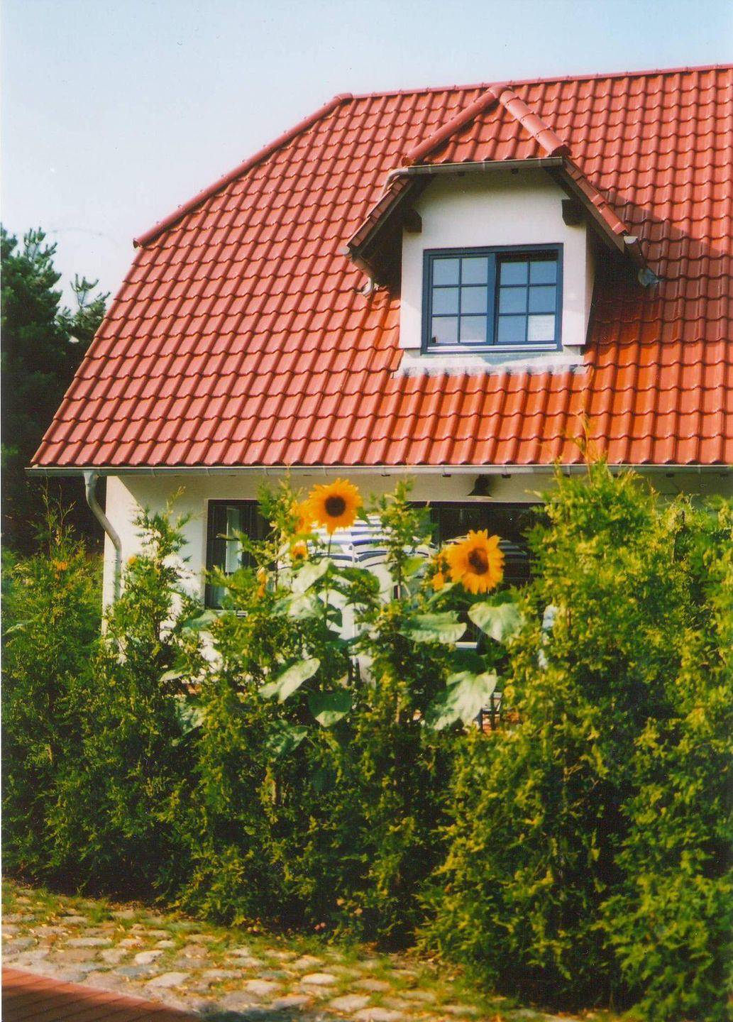 Ferienwohnung in Zingst ab 66€ pro Nacht