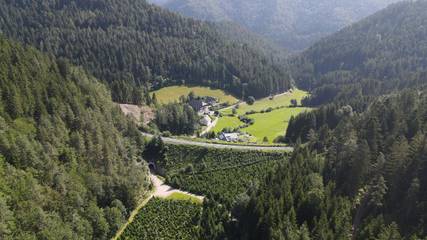 Ferienhaus für 4 Personen, mit Balkon/Terrasse in Mittlerer Schwarzwald