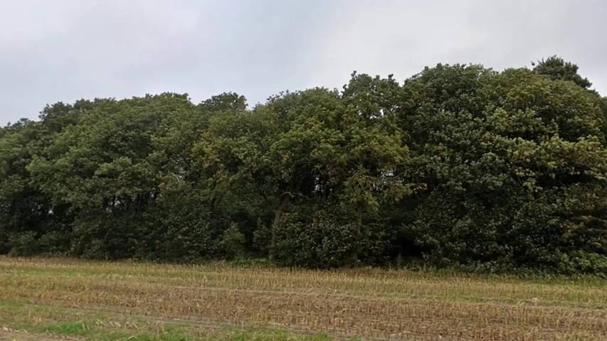 Ferienhaus für 5 Personen in Südjütland - 2