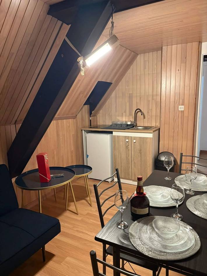 Location de vacances pour 6 personnes, avec vue sur le lac à Illkirch-Graffenstaden - 2