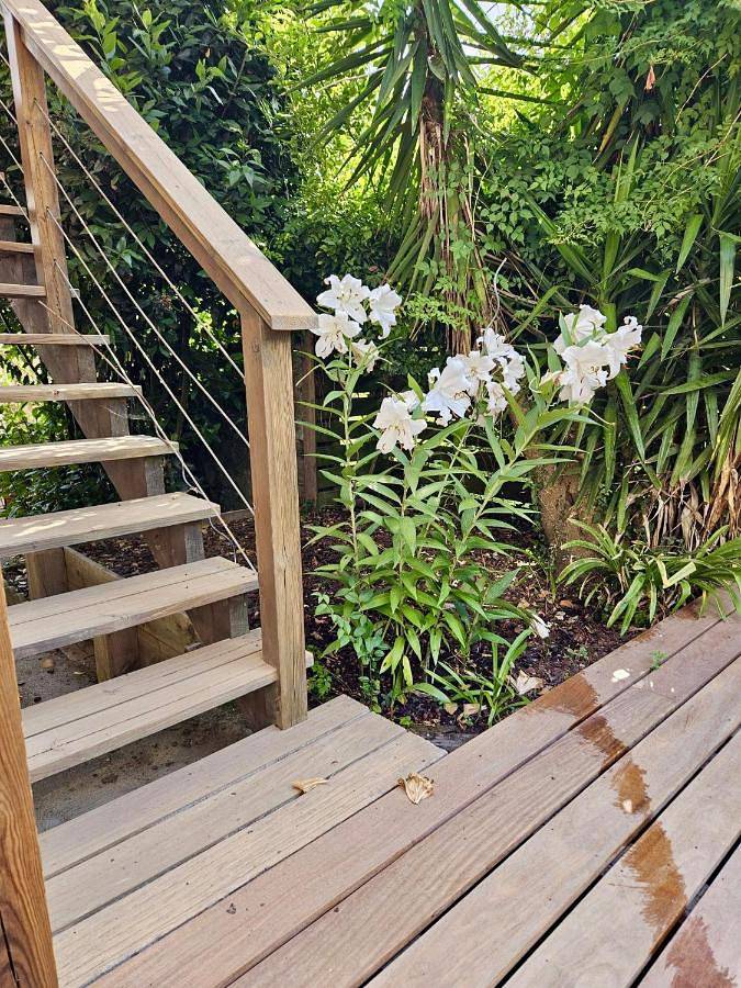 Location de vacances pour 2 personnes, avec jardin et terrasse à Boucau - 4
