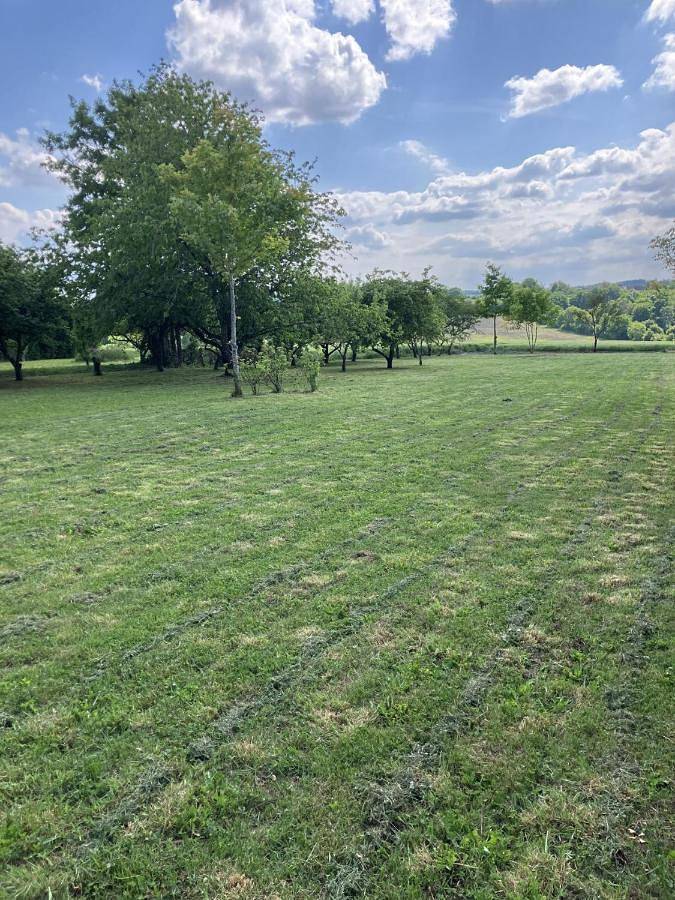 Location de vacances pour 11 personnes, avec jardin et vue, animaux acceptés à Dampierre-sous-Bouhy - 4