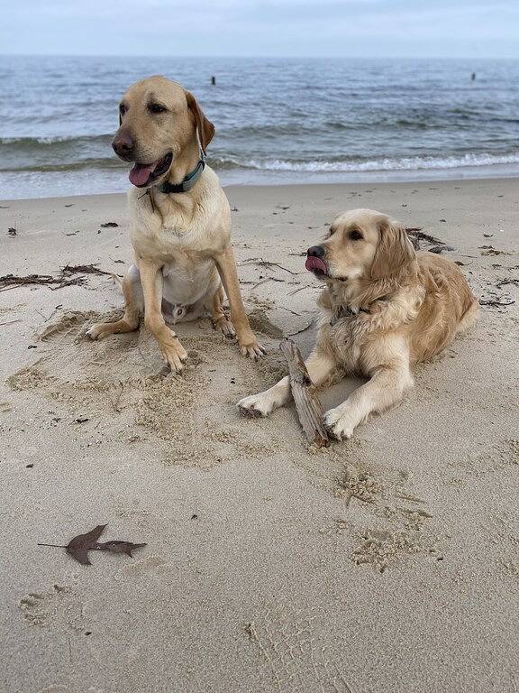 Bay Front Small Contemporary in Northumberland County