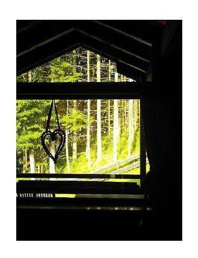 Hütte für 6 Personen, mit Balkon und Garten in Oberstdorf - 3