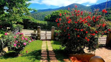 Villa für 7 Personen in Castiglione della Pescaia, Maremma, Bild 4