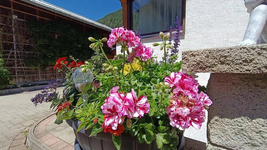 Gîte pour 6 personnes, avec balcon à Bach - 2